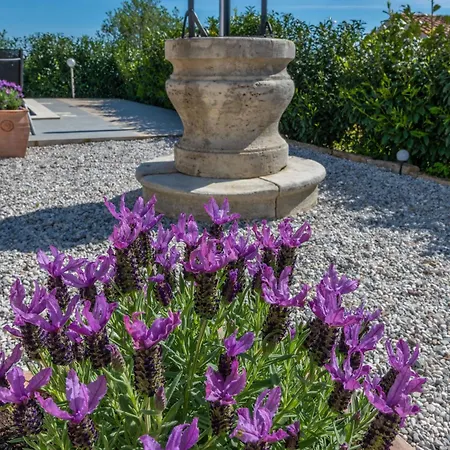 Dom wakacyjny Irena Labin, A Cozy And Charming Near The *